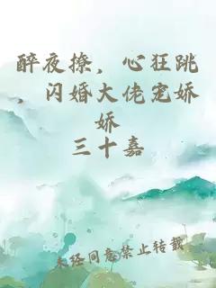 醉夜撩，心狂跳，闪婚大佬宠娇娇
