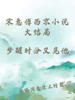 宋意傅西京小说大结局