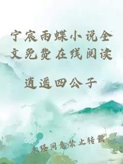 宁宸雨蝶小说全文免费在线阅读