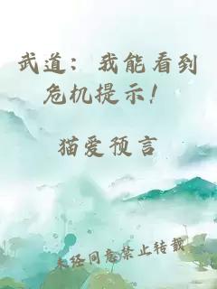 武道：我能看到危机提示！