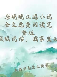 唐晚晚江迟小说全文免费阅读完整版