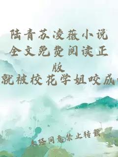 陆青苏凌薇小说全文免费阅读正版