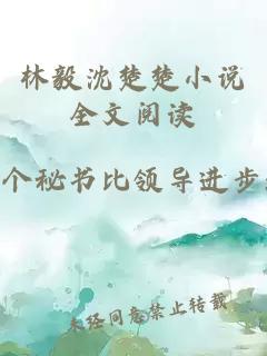 林毅沈楚楚小说全文阅读