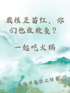 我根正苗红，你们也敢欺负？