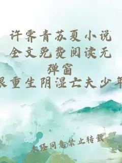 许霁青苏夏小说全文免费阅读无弹窗