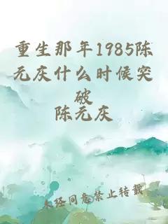 重生那年1985陈元庆什么时候突破