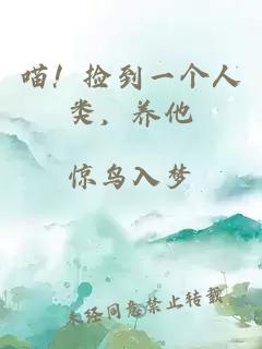 喵！捡到一个人类，养他