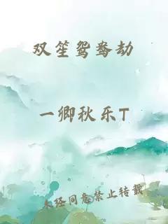 双笙鸳鸯劫