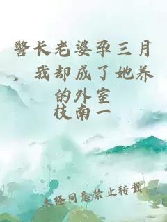 警长老婆孕三月，我却成了她养的外室