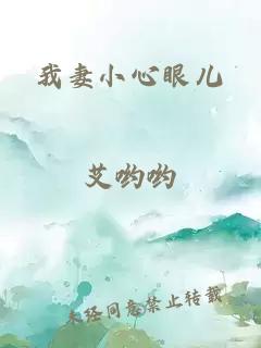 我妻小心眼儿