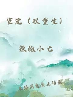 宦宠（双重生）