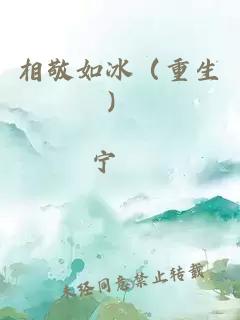 相敬如冰（重生）