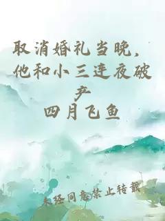 取消婚礼当晚，他和小三连夜破产