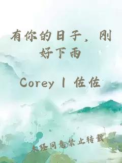 有你的日子，刚好下雨