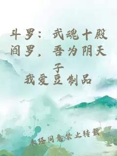 斗罗：武魂十殿阎罗，吾为阴天子