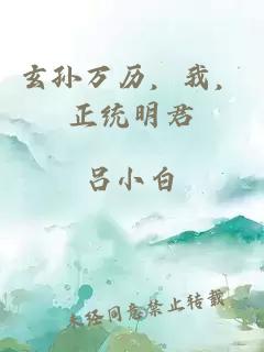 玄孙万历，我，正统明君