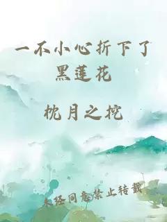 一不小心折下了黑莲花