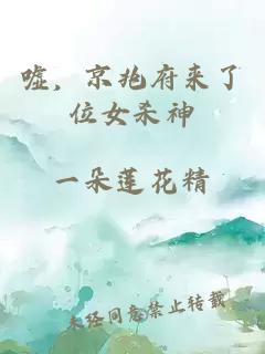 嘘，京兆府来了位女杀神