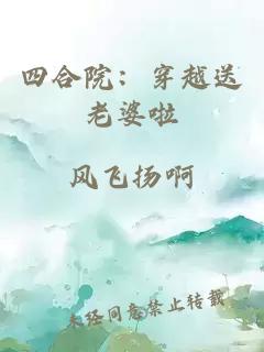 四合院：穿越送老婆啦