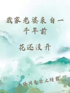 我家老婆来自一千年前