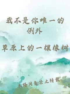 我不是你唯一的例外