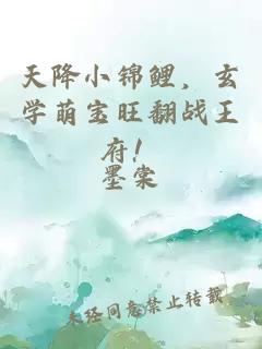 天降小锦鲤，玄学萌宝旺翻战王府！