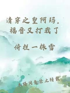 清穿之皇阿玛，福晋又打我了