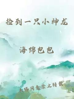 捡到一只小神龙