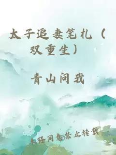 太子追妻笔札（双重生）