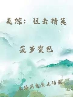 美综：狙击精英