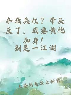 夺我兵权？带头反了，我要黄袍加身！