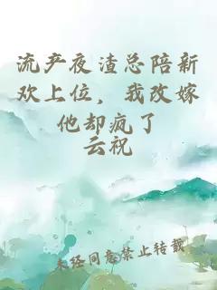 流产夜渣总陪新欢上位，我改嫁他却疯了