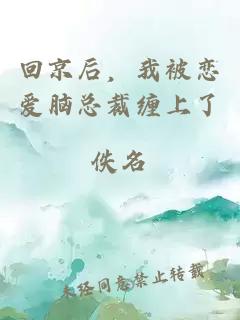 回京后，我被恋爱脑总裁缠上了