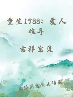 重生1988：爱人难寻