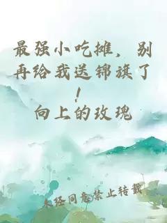 最强小吃摊，别再给我送锦旗了！