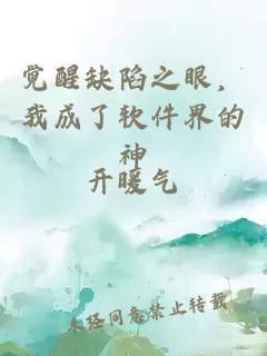 觉醒缺陷之眼，我成了软件界的神