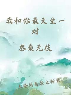 我和你最天生一对