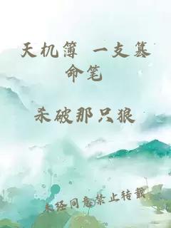 天机簿 一支篡命笔