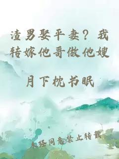渣男娶平妻？我转嫁他哥做他嫂