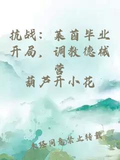 抗战：莱茵毕业开局，调教德械营