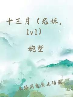 十三月（兄妹，1v1）