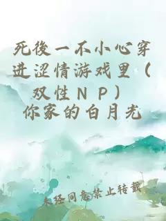 死後一不小心穿进涩情游戏里（双性ＮＰ）