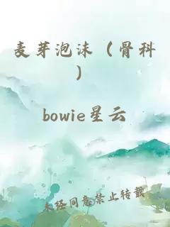 麦芽泡沫（骨科）