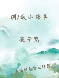 调/教小绵羊