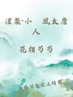 涅槃·小鳳凰太磨人