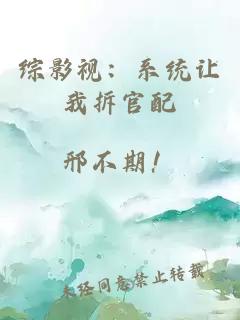 综影视：系统让我拆官配