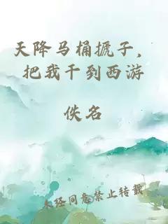 天降马桶搋子，把我干到西游