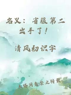 名义：省服第二出手了！