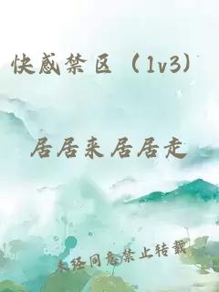 快感禁区（1v3）