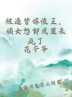 被逼替嫁傻王，嫡女怒卸戎装杀疯了